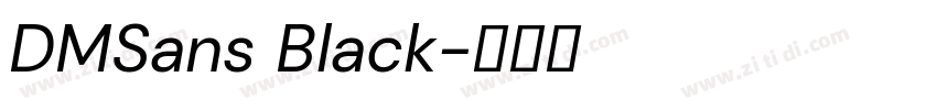 DMSans Black字体转换